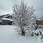 Bel Dans Cheminee /jardin Luz-Saint-Sauveur