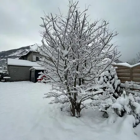 Bel Dans Cheminee /jardin Luz-Saint-Sauveur