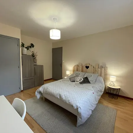 Bel Dans Cheminee /jardin Apartamento Luz-Saint-Sauveur