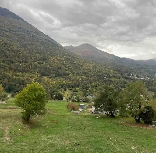 Bel Dans Cheminee /jardin Люс-Сен-Совёр