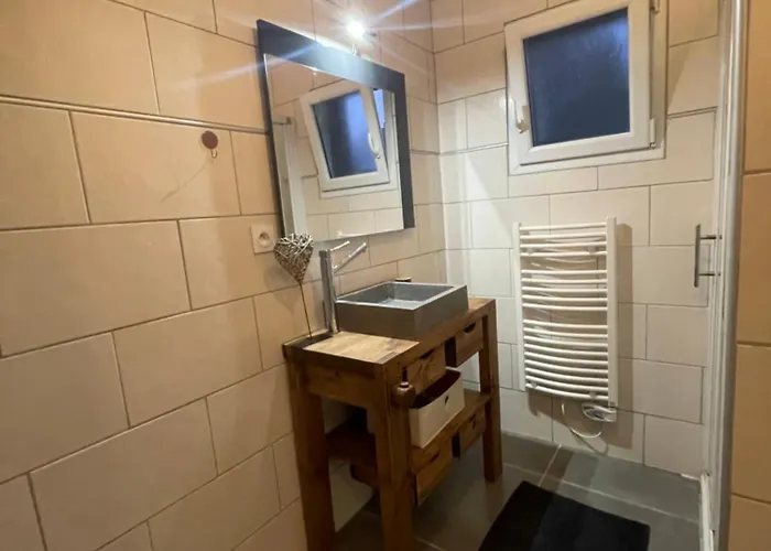 Bel Dans Cheminee /jardin * Люс-Сен-Совёр