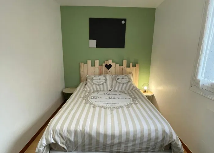 Апартаменты Bel Dans Cheminee /jardin Люс-Сен-Совёр