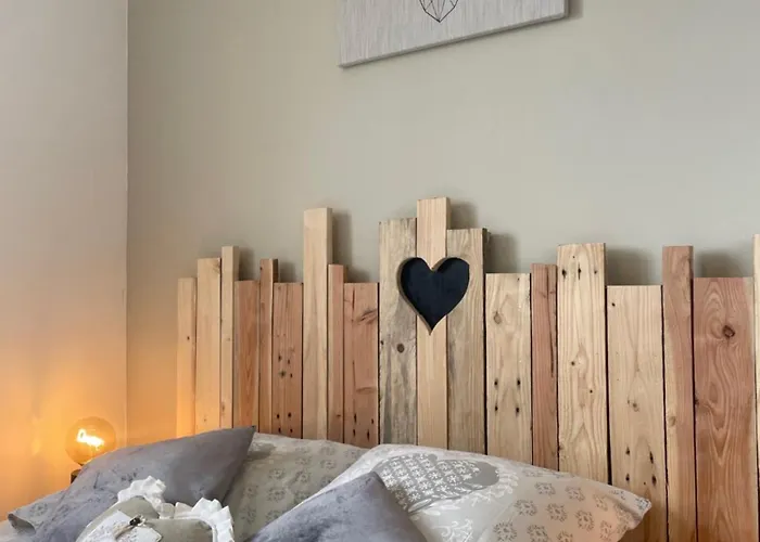 Bel Dans Cheminee /jardin Люс-Сен-Совёр