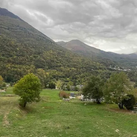 Bel Dans Cheminee /jardin Luz-Saint-Sauveur