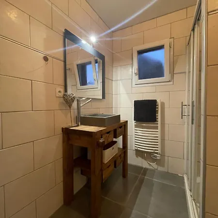 Apartment Bel Dans Cheminee /jardin Luz-Saint-Sauveur