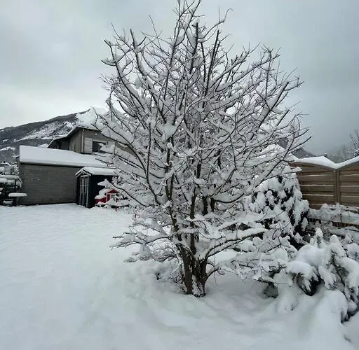 Bel Dans Cheminee /jardin Luz-Saint-Sauveur