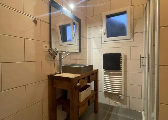 Апартаменты Bel Dans Cheminee /jardin Люс-Сен-Совёр