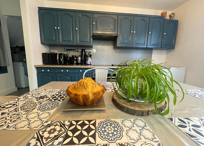 Bel Dans Cheminee /jardin Lejlighed *